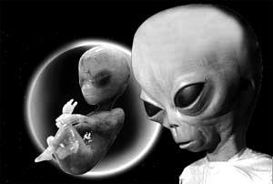 科学家找到外星人头像原型与人类胚胎相似