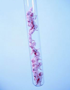 &$<font color=white>1997年2月·你好，多利</font><br>　 1996年，世界第一例从成年动物细胞克隆出的哺乳动物绵羊多利诞生。这个秘密直到1997年2月才向世人公布。苏格兰胚胎学家伊恩·威尔姆特和同事用一只成年母羊乳房内取出的细胞克隆出多利。1997年7月，使用在实验室内培养产生并植入了一个人类基因的绵羊体细胞，苏格兰科学家克隆了绵羊“波莉”。