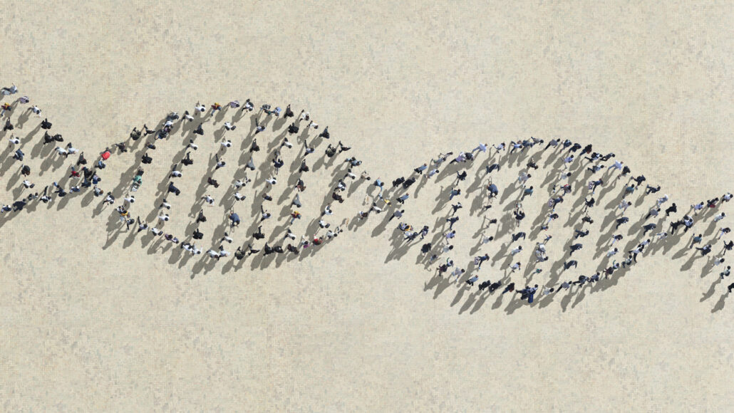 俯视图显示，人们排成一排，形成人类 DNA 双螺旋形状，代表单个“泛基因组”。