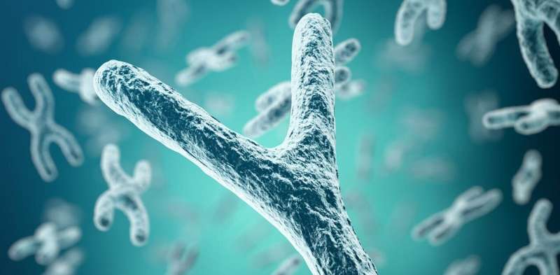 科学家发现Y染色体中缺失的人类基因组的最后残余物