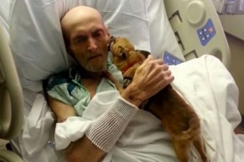 美国一忠犬唤醒73岁休克患者 场景令人动容