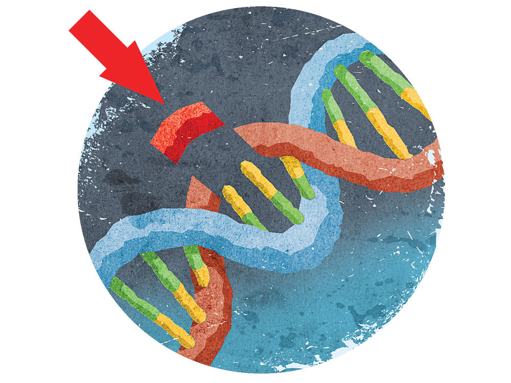 首个CRISPR人体试验计划获批