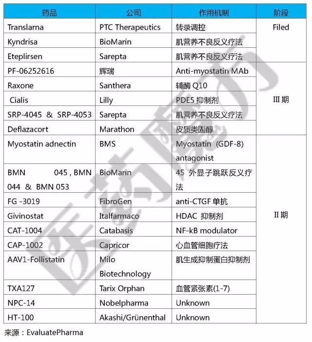 DMD药物管线