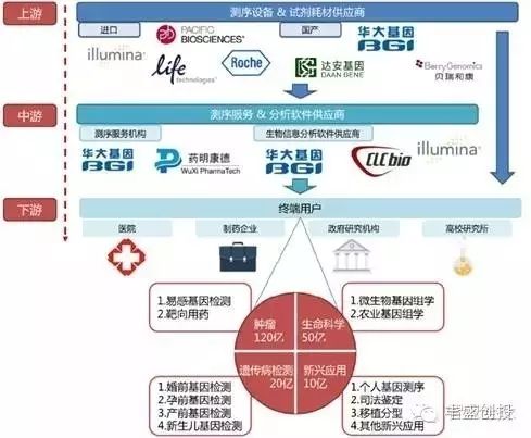 2016年中国基因测序产业链发展现状及主要企业业务布局分析