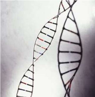Nat Med：CRISPR基因编辑技术或有望治疗血液疾病