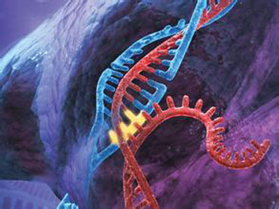 新技术操控CRISPR基因编辑系统