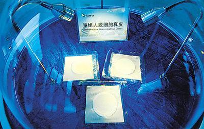人工皮肤现在怎么样了?