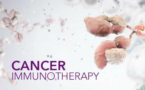 Nat Med:重磅！科学家组合四种策略 借免疫之力重创癌症