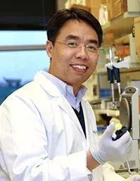 研究发现脊髓性肌萎缩症的潜在新治疗靶点