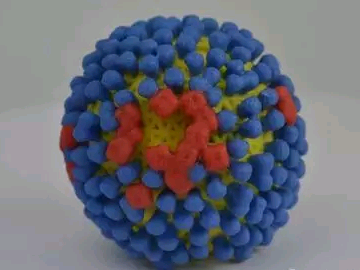 Science：出生年份可预测流感病毒传染机率