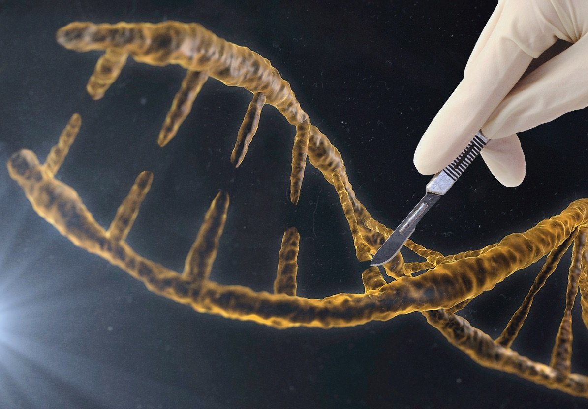 基因编辑专利战爆发 未来基因工程将如何发展？