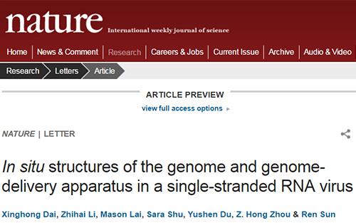 时隔一年 华人教授再次发表Nature文章解析RNA病毒