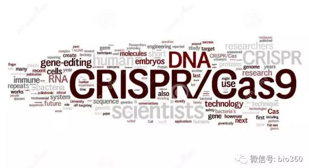 【综述】治疗性CRISPR/cas9技术研究进展