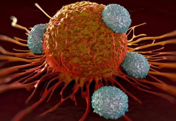 如何靶向能量代谢来精准狙杀癌细胞？