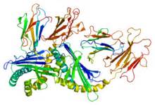 PLoS Pathog：研究发现人体内一种抑制HIV的广谱抗病毒蛋白