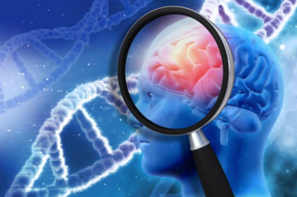 大型研究发现与脑癌相关的基因变异
