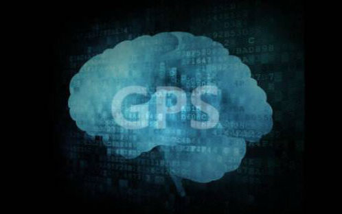 Nature：大脑 GPS 系统不仅仅是导航那么简单