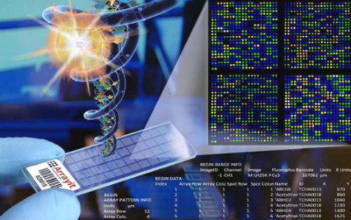 基因检测解码“生命说明书” 全球竞跑基因数据库