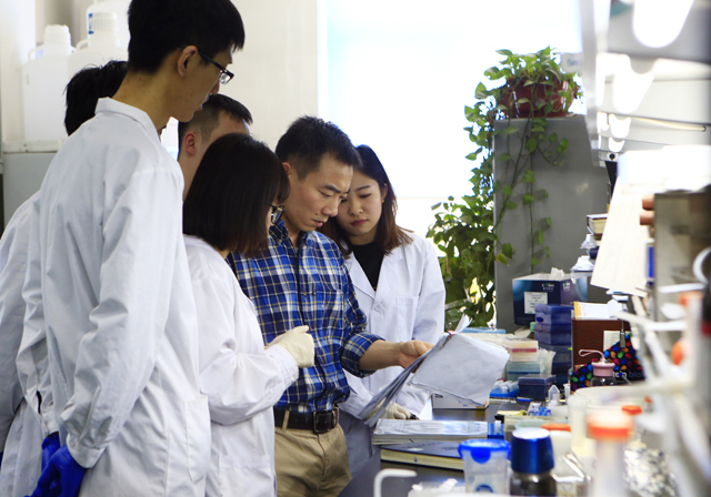 黄志伟教授团队《自然》发表最新研究成果，3年破解3个世界科学难题