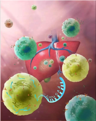 Cell: 中国学者张泽民、彭吉润、欧阳文君团队首次发布大规模肿瘤单细胞水平免疫图谱