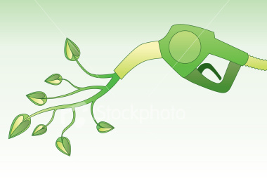 1500452608992127.jpg 57abdfd718476.jpg