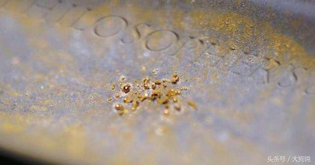 科学家最新发现：这种细菌能够制造出24克拉，99.9%的纯金！