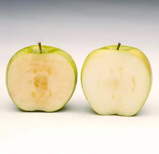 转基因苹果将在美国上市，不贴转基因标志！