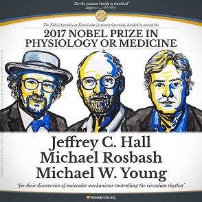 霍尔等三位科学家获2017年诺贝尔生理学或医学奖