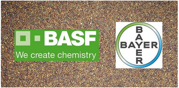 BASF以70亿美元收购拜耳公司种子业务