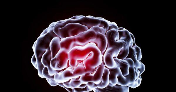 科学家通过大脑植入物来提高人类的记忆力
