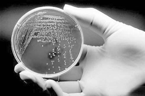 中国新疆建成世界首个耐辐射微生物菌种资源库