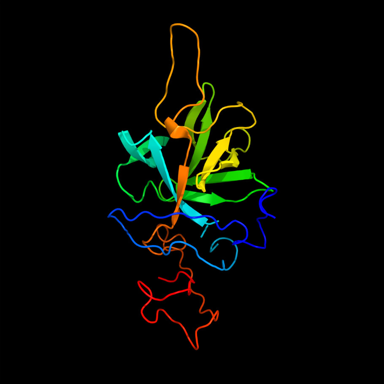 201712221513920260534.png bb94b6a0e505f523d6800bc33bc1119c9611.png