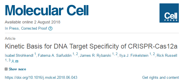 “升级”CRISPR？Cell子刊揭示比Cas9更有效、更安全的酶