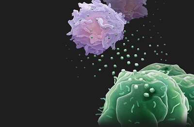 6到“飞起”！华人学者Nature揭示癌细胞远攻免疫系统的“利器”