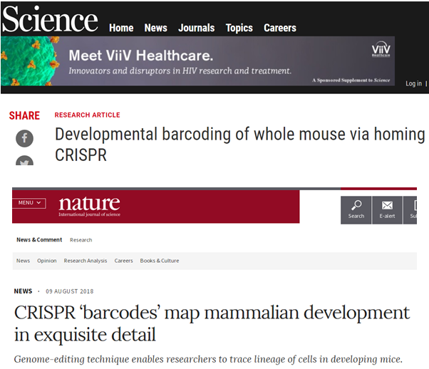 里程碑！Science、Nature齐关注：斑马鱼之后，CRISPR再探哺乳动物胚胎发育史