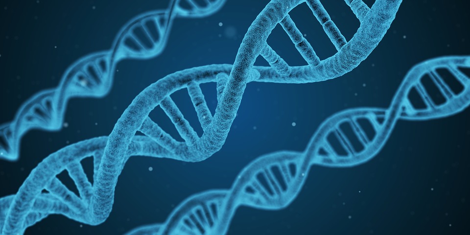 Nature子刊揭示“神奇”蛋白：可控制基因、应对多重病症