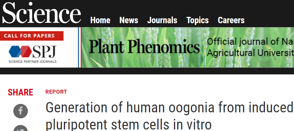 Science：干细胞再生卵子，可能我们将是最后的“原装”人类…