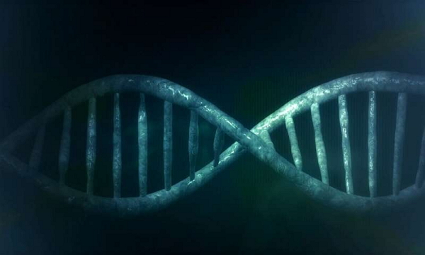 纠正疾病！两篇Nature医学揭示：改良版CRISPR新进展