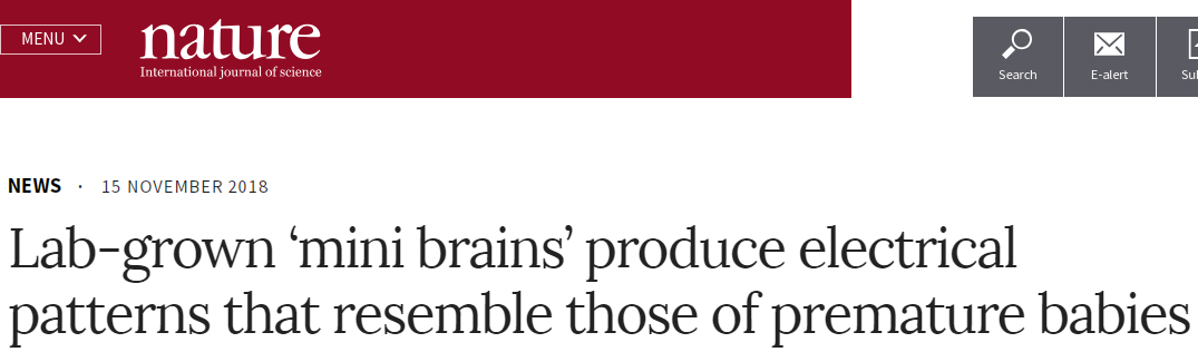引发伦理担忧的研究！Nature关注：“迷你大脑”发出类似早产儿的脑电波