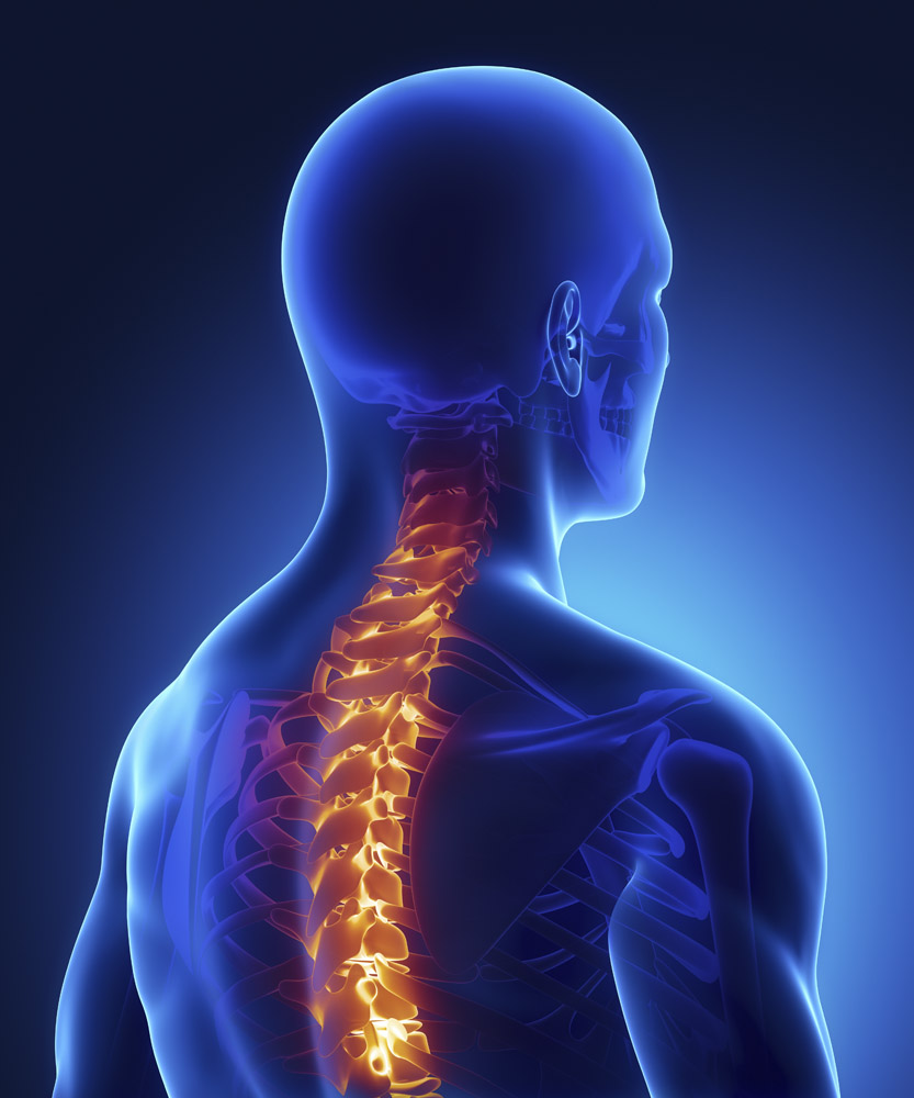 脊柱手术硬脊膜破裂的诊断及治疗进展