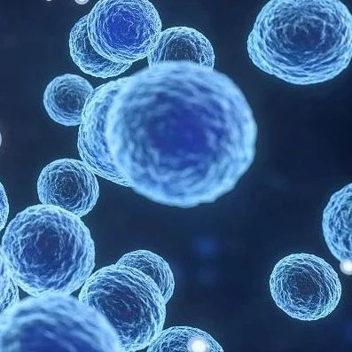 超级杀伤性T细胞出现！能够同时识别多种不同癌症相关靶标_生物探索