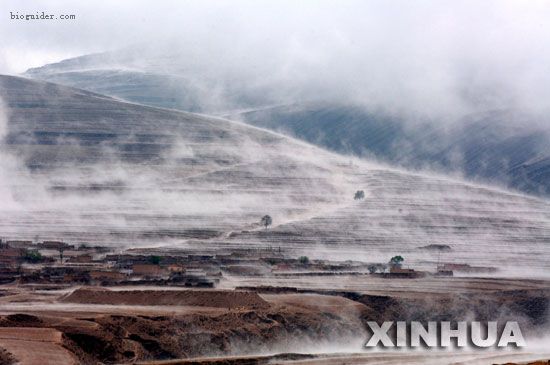 科技时代_宁夏出现地腾奇观 如轻纱笼罩大地(组图)