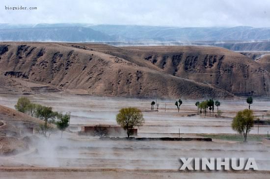 宁夏出现地腾奇观如轻纱笼罩大地(组图)