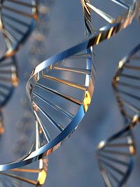 DNA