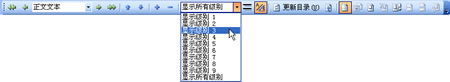 图12 “大纲”工具栏
图12 “大纲”工具栏