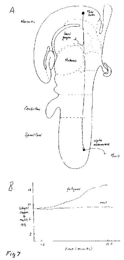 Bennett Fig 7