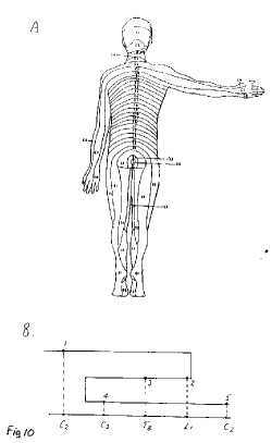 Bennett fig 10