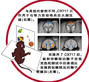 科技时代_英美研制新药打造48小时不眠战士(图)