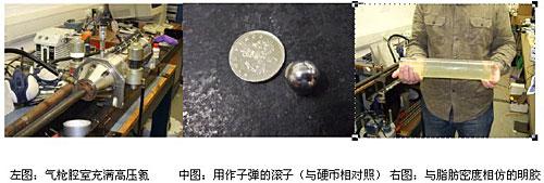 实验所用的物品
