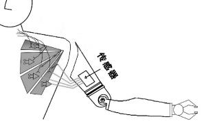 胸部皮肤下安装有感应接收器